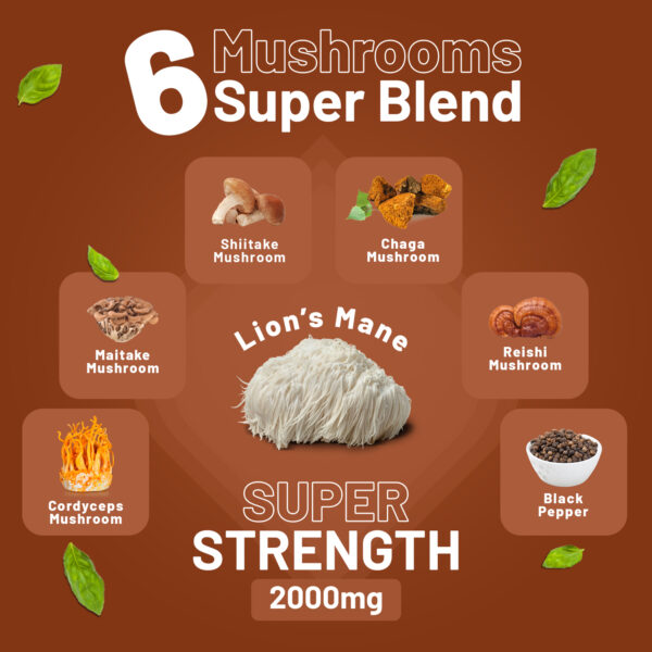 dvanced Mushroom Complex 2000mg | A super blend of 6 Mushroom with Lions Mane, Chaga, Cordyceps, Shiitake, Reishi and Maitake with Black Pepper | 120 Vegan High Strength Tablets | Made in UK by Prowise - Image 4