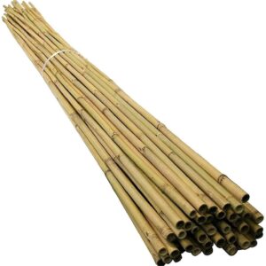 20 x 6FT (180cm) Bamboo Canes
