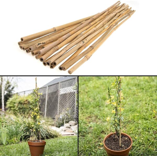 20 x 6FT (180cm) Bamboo Canes - Image 3