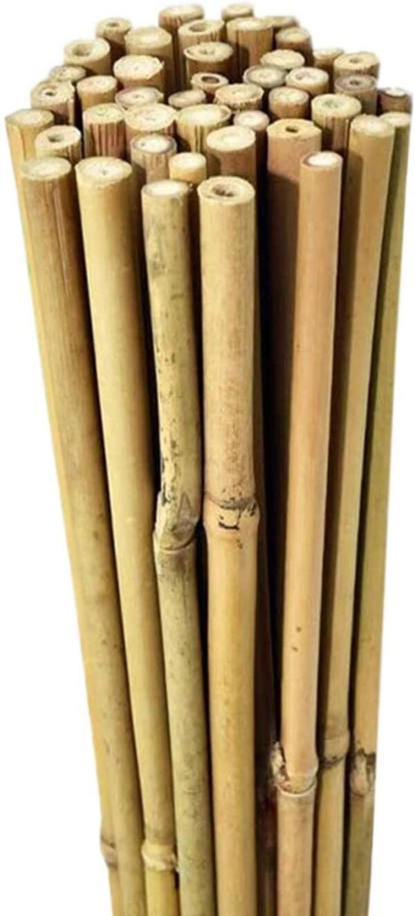 20 x 6FT (180cm) Bamboo Canes - Image 4