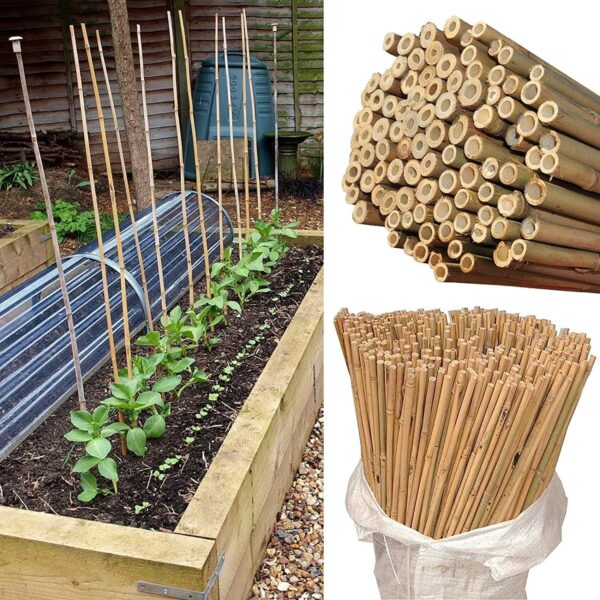 20 x 6FT (180cm) Bamboo Canes - Image 5