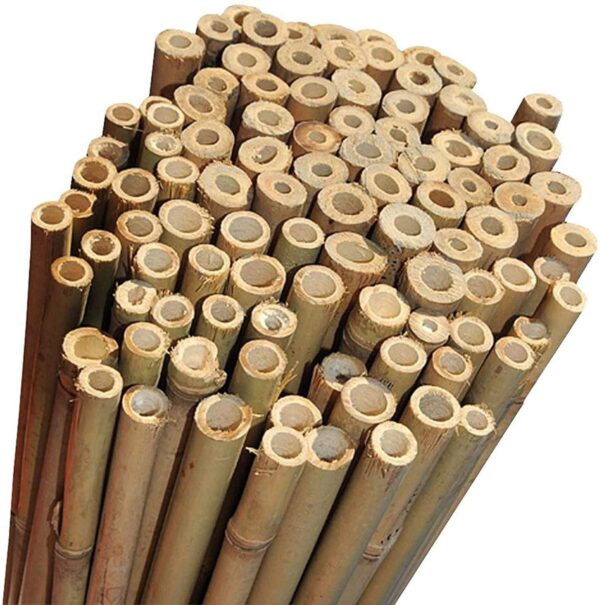 20 x 6FT (180cm) Bamboo Canes - Image 6