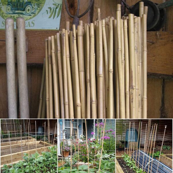 20 x 6FT (180cm) Bamboo Canes - Image 7