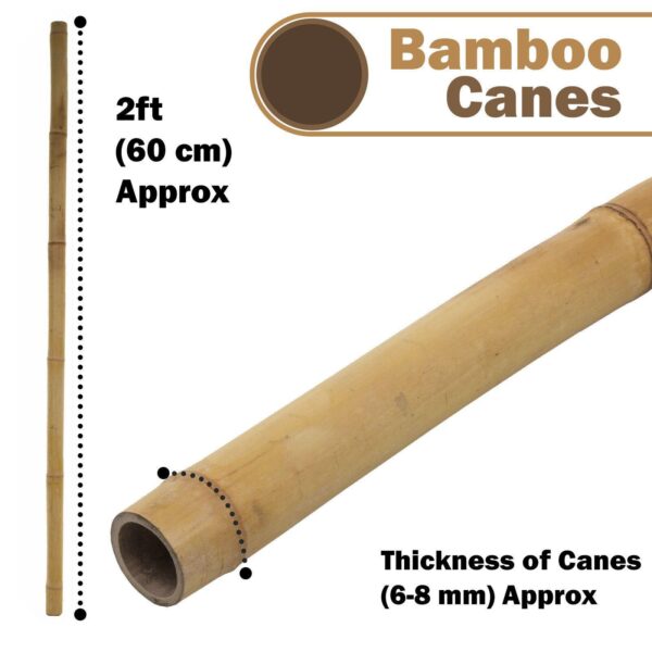 50 x 3FT Bamboo Canes Sticks 90CM - Image 6