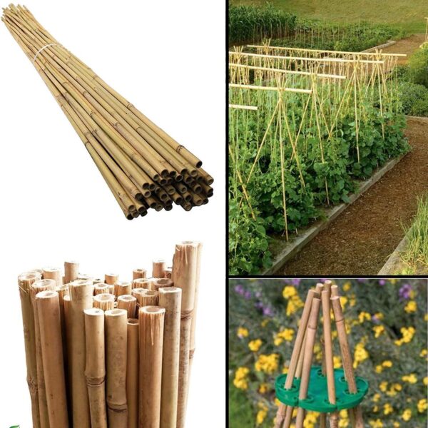 50 x 3FT Bamboo Canes Sticks 90CM - Image 7