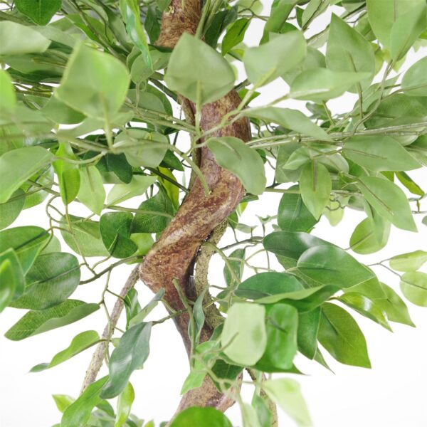 150cm Twisted Trunk Artificial Japanese Fruticosa Style Ficus Tree - Image 2