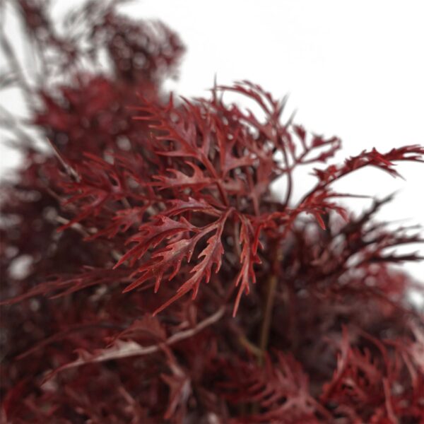 120cm Red Aralia Tree Artificial UV Resistant Outdoor - Image 2