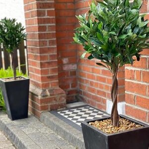 Pair of 120cm (4ft) Twist Natural Artificial Topiary Bay Laurel Ball Trees