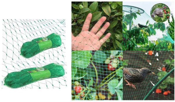 GARDEN NETTING ANTI BIRD VEG FRUIT PLANT POND NET PROTECTION WATER. VARIATION[Birds,1 X PCS,2 X 10 M] - Image 3