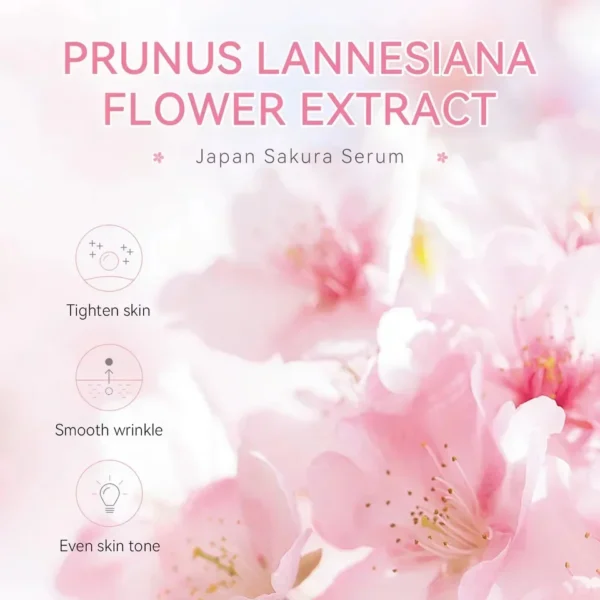 Sakura Whitening Face Serum Fade Fine Lines Anti Aging Tighten Pores Improve Melanin Pigment Dull Moisturizer Brighten Skin Care - Image 4