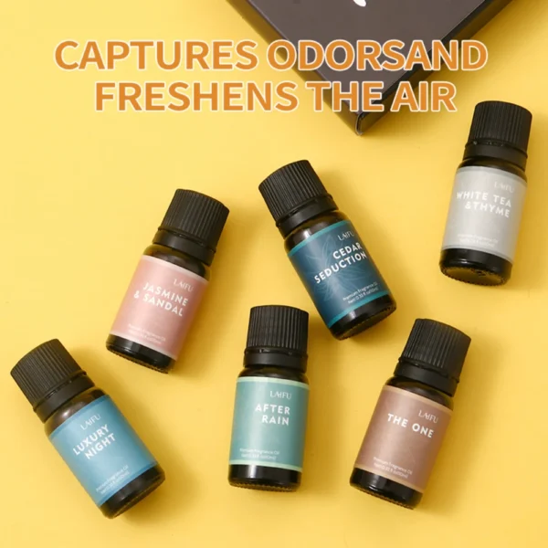 Custom Air Freshener Deodorant Kit, Water Soluble, Long-Lasting Scent for Home Car Office - Image 3