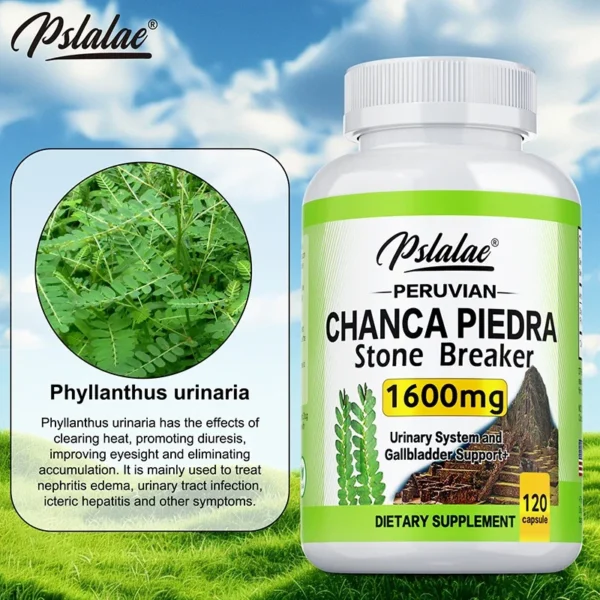 Chanca Piedra Capsules - Supports Kidney Health, Urinary Tract Health, Clears Kidney Stones and Gallstones, Boosts Immunity - Image 4