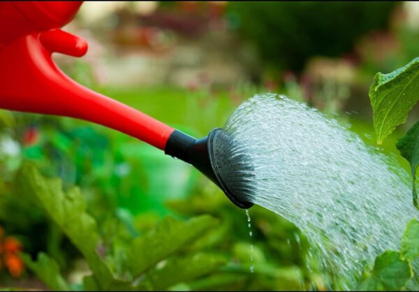 Whitefurze G28WC 6L Watering Can - Red - Image 3