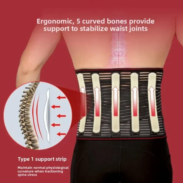 Back Braces for Lower Back Pain Relief with 5 Stays Breathable Back Support Belt for Men/Women Anti-skid Lumbar Support Belt - Image 5